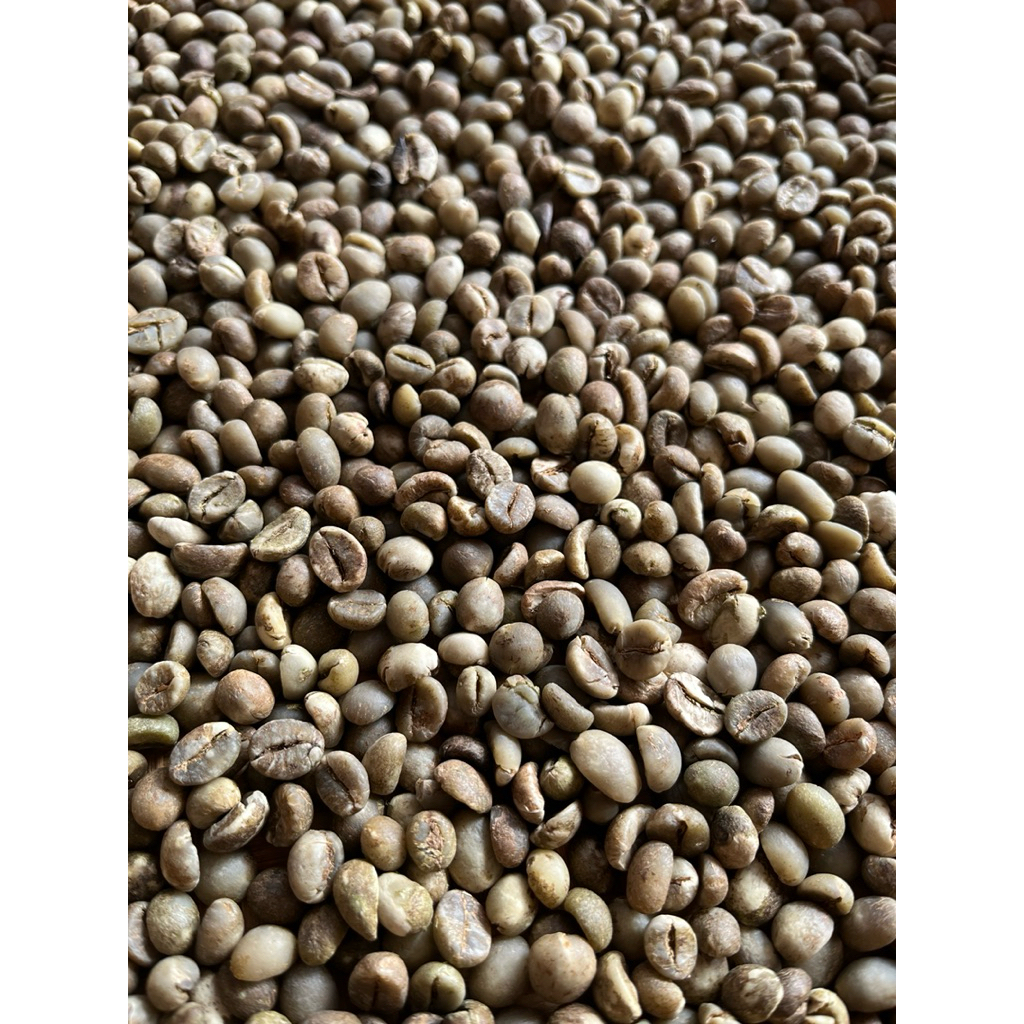 Jual Kopi Robusta Green Bean Coffee Java ( Kopi Mentah Ekonomis ) 1Kg ...