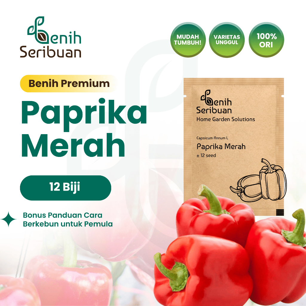 Benih Seribuan - Bibit Sayuran Paprika Merah F1 Hibrida