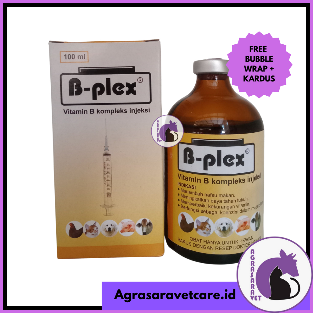 Jual B Plex 100 ml Pyridam Vitamin B Kompleks Injeksi 100 Ml | Shopee ...