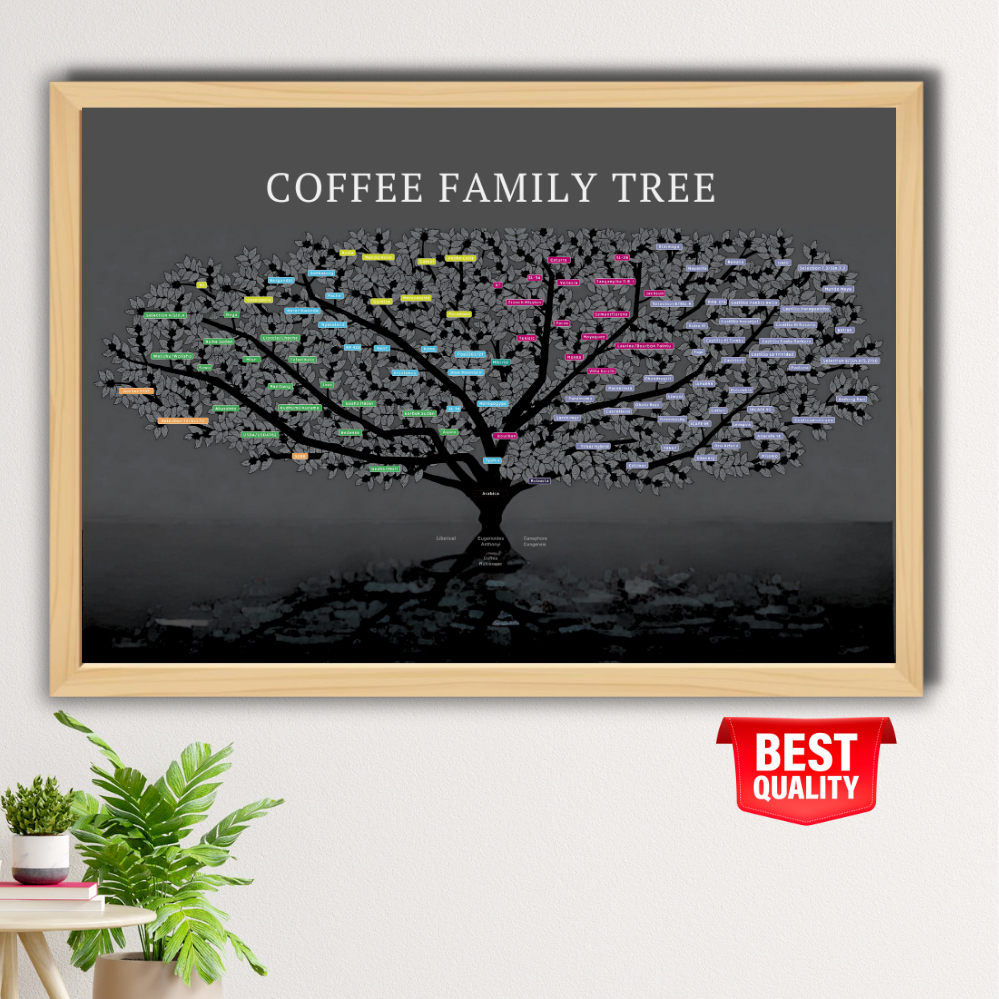 Jual Poster Kopi Coffee Family Tree A2 - Pohon Kopi Arabica Robusta ...