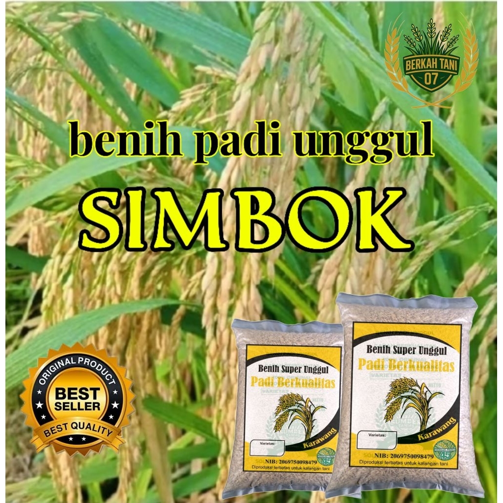 Jual BENIH PADI SIMBOK KUALITAS SUPER UNGGUL (10kg) | Shopee Indonesia