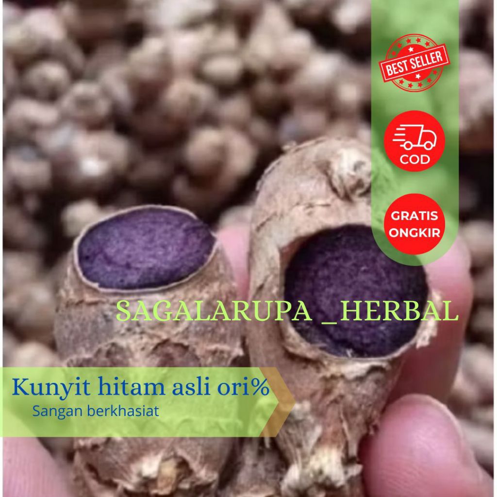 Jual KUNYIT HITAM ASLI ORIGINAL%NO TIPU TIPU NETTO 100 GR | Shopee ...
