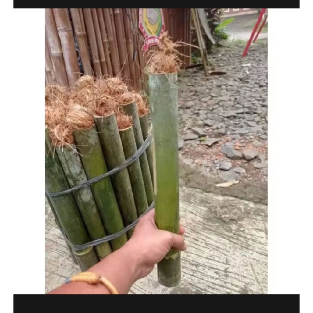Jual Termurah Obor Bambu tradisional atau Oncor Bambu Tamiang siap ...