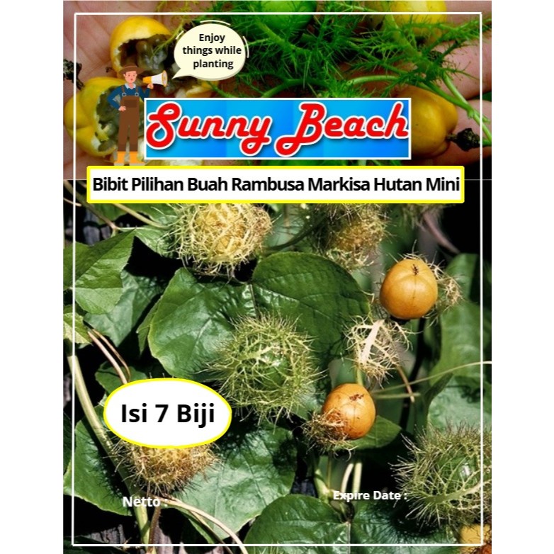 Jual Bibit Pilihan Buah Rambusa Markisa Hutan Mini | Biji Benih Buah ...