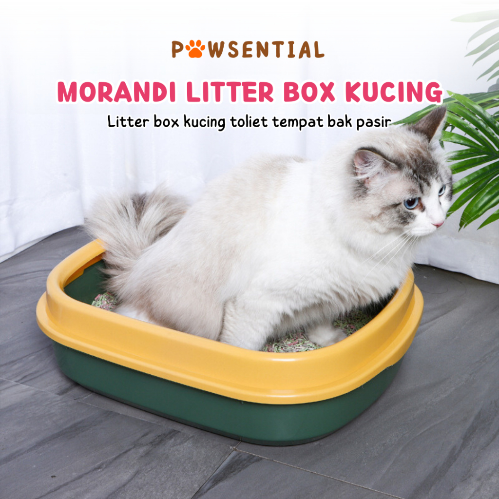 Jual Litter Box Kucing - Cat Toilet Tempat Bak Pasir Kucing Besar Free ...