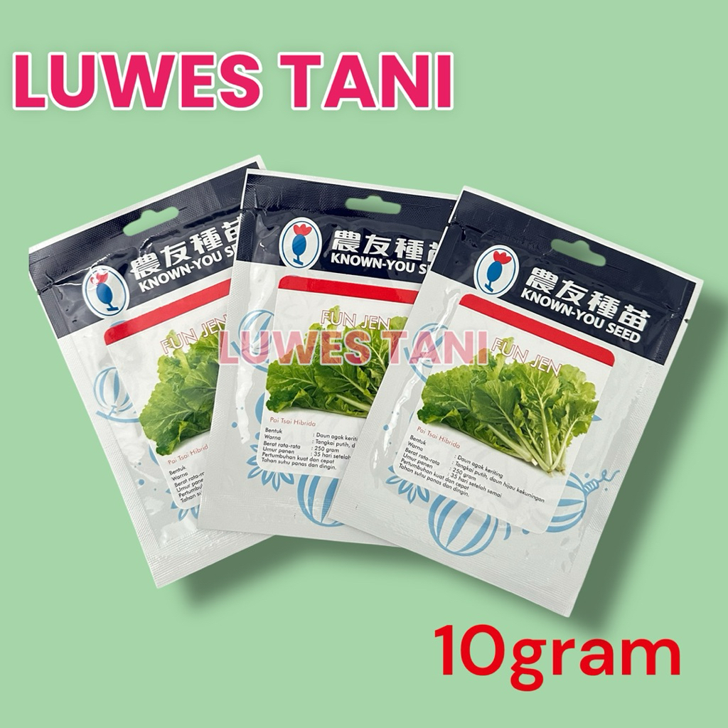 Jual Fun Jen 10gram Benih Bibit Sawi Keriting Hibrida (Known You Seed ...