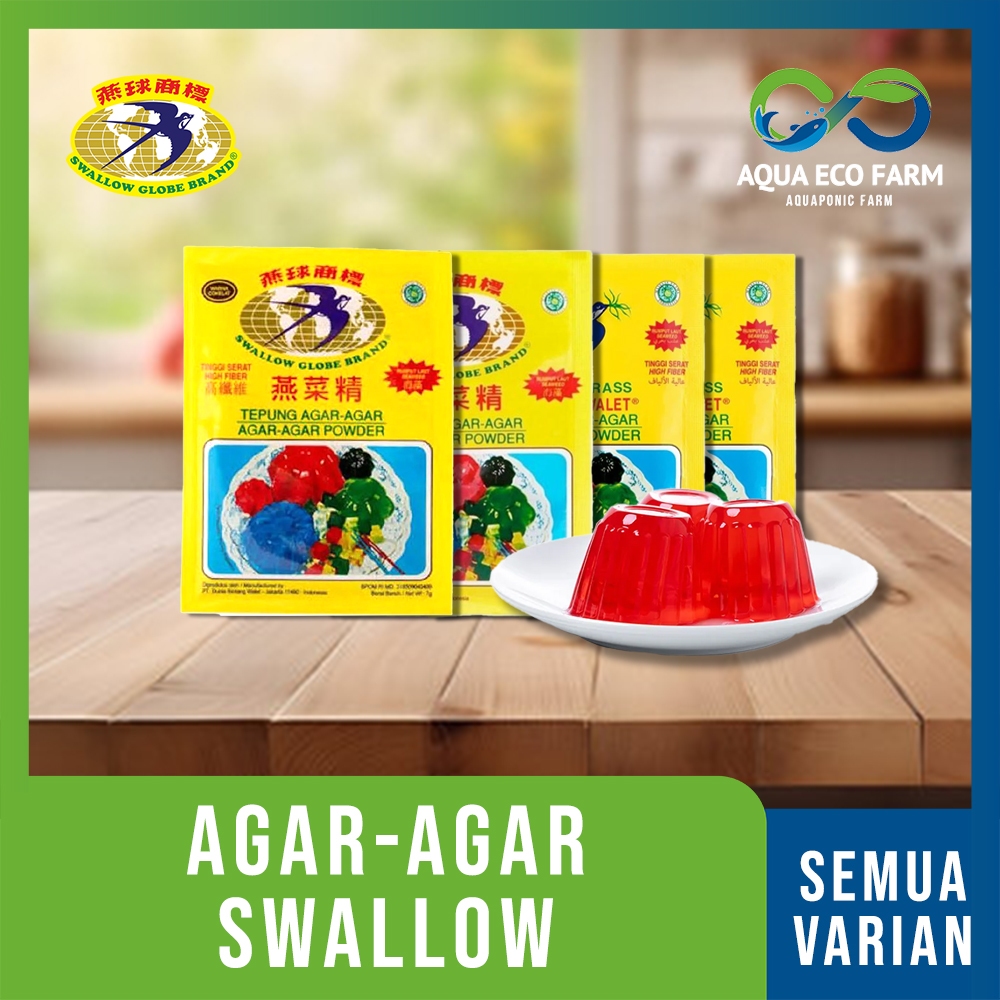 Jual [ AquaEcoFarm] Swallow Globe atau Star Swallow Powder Instant ...