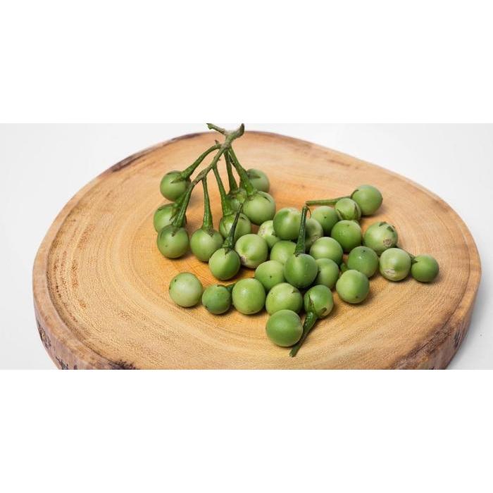 Jual Buah Rimbang / Cepokak / Terung Kokak Pipit 1kg – Segar, Khas ...