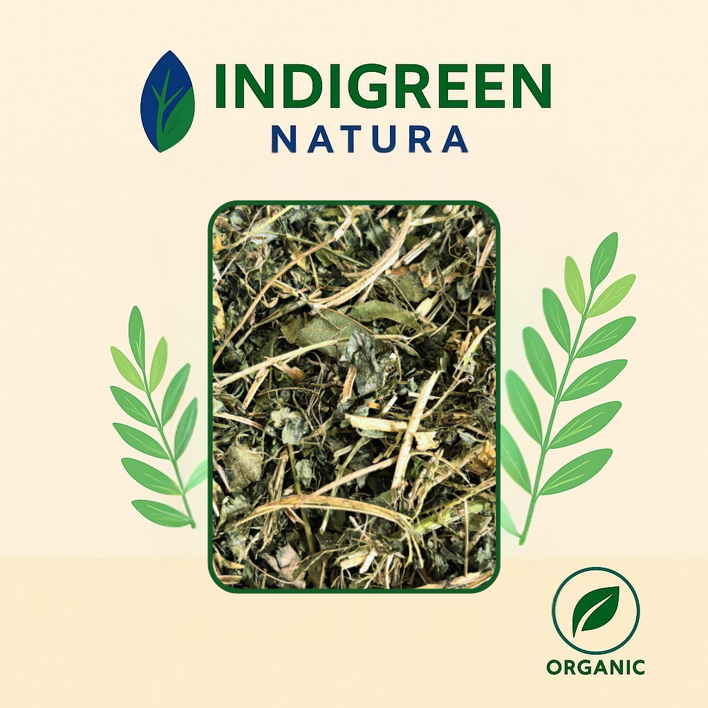 Jual Hay Indigofera Pakan Hewan Pakan Ternak Pakan Kambing Sapi Domba ...