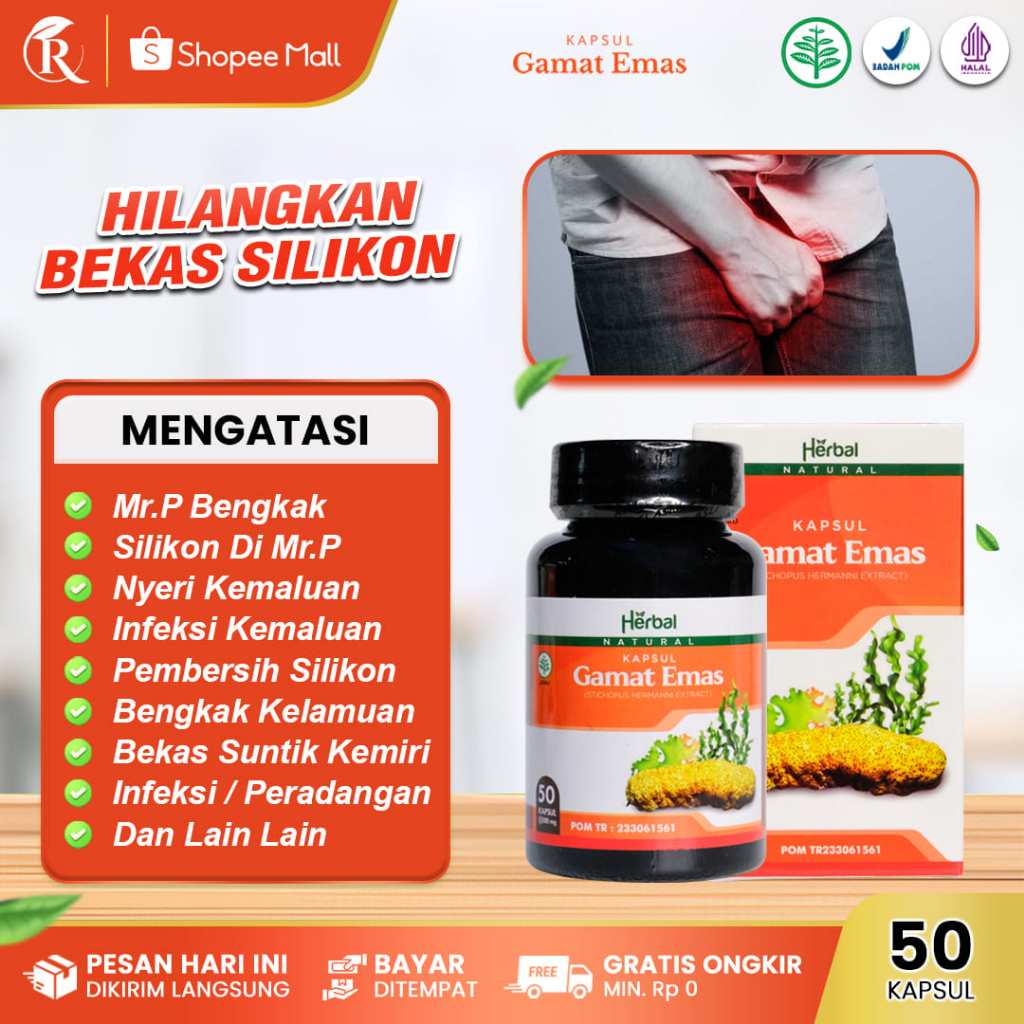 Kapsul Gamat Emas Obat Penghilang Minyak Kemiri, Penghilang Bekas Suntik Silikon, Penis Bengkak