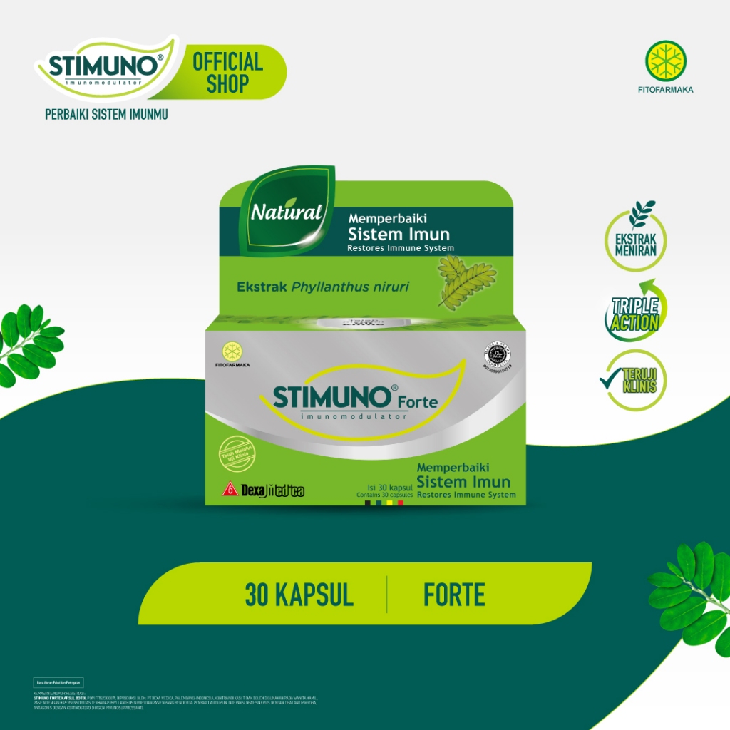Stimuno Forte 30 Kapsul | Daya Tahan Tubuh Imun Booster Suplemen Herbal Alami Multivitamin Anak Dewasa Meniran