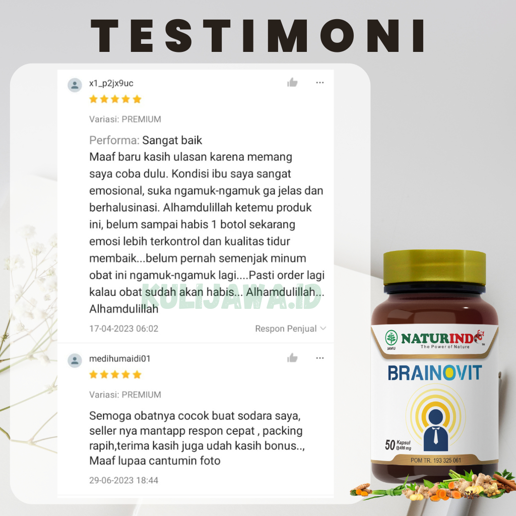 Jual Obat Skizofrenia Paranoid Halusinasi Depresi Penenang Stres Cemas ...