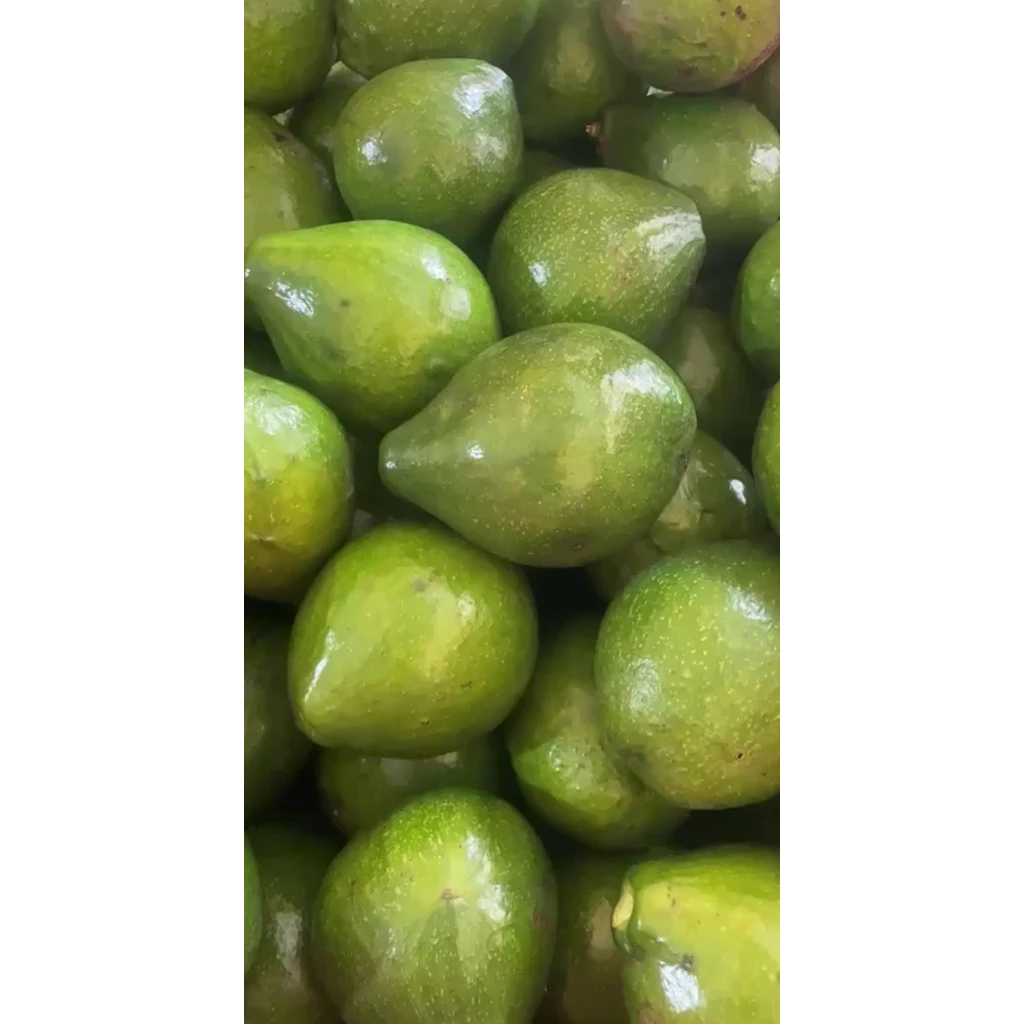 Toko Buah Blitar
