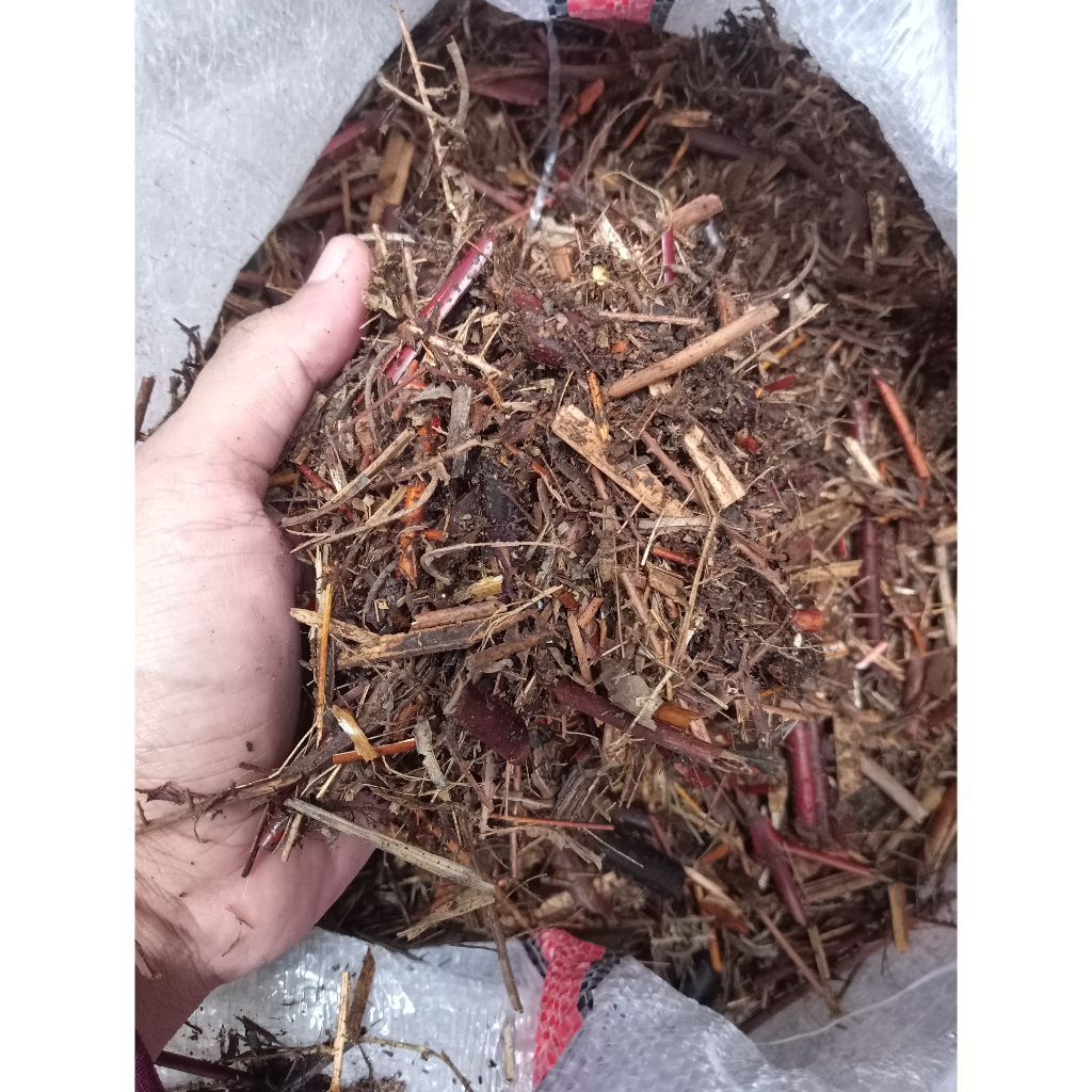 Jual Andam Campur 5ltr Media Tanam Untuk Berbagai Jenis Tanaman Hias ...