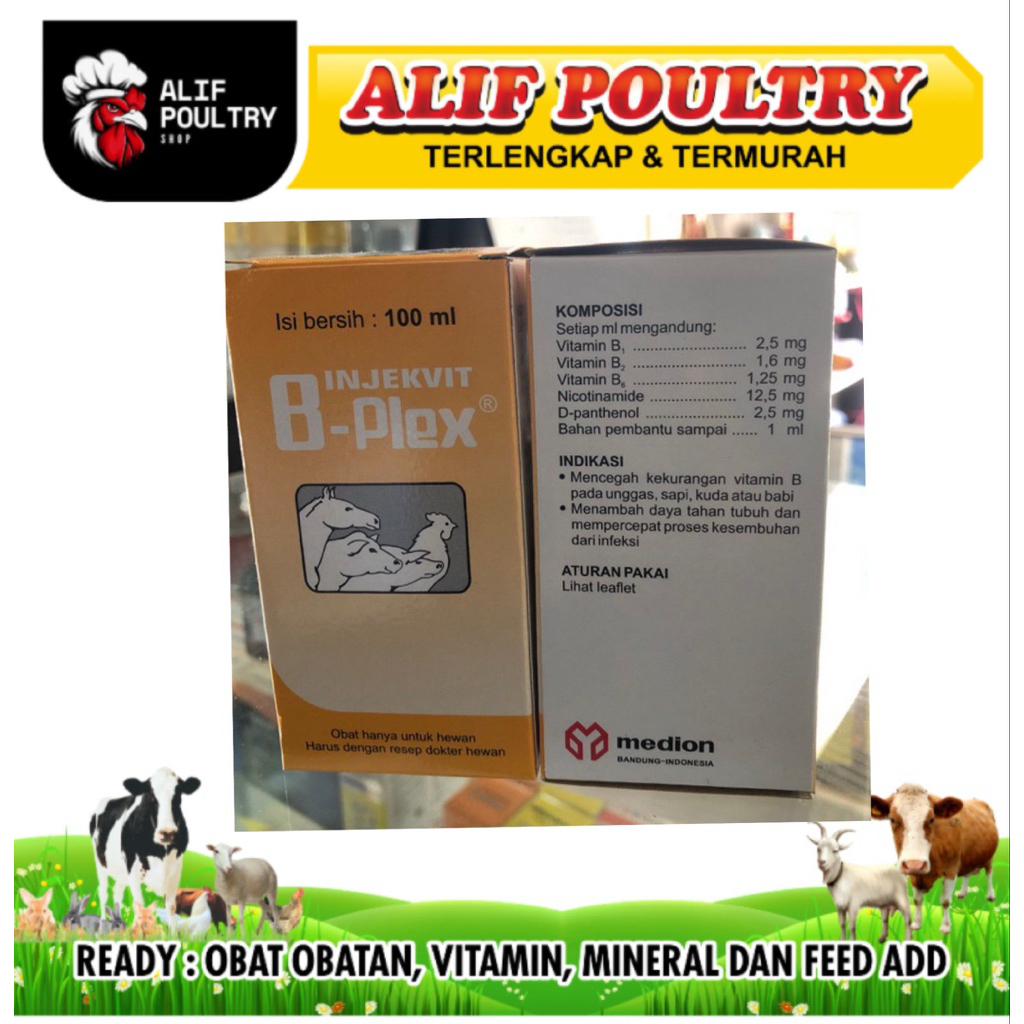 Jual INJEKVIT B-PLEX INJ 100ML - vitamin B Komplek untuk ternak ...