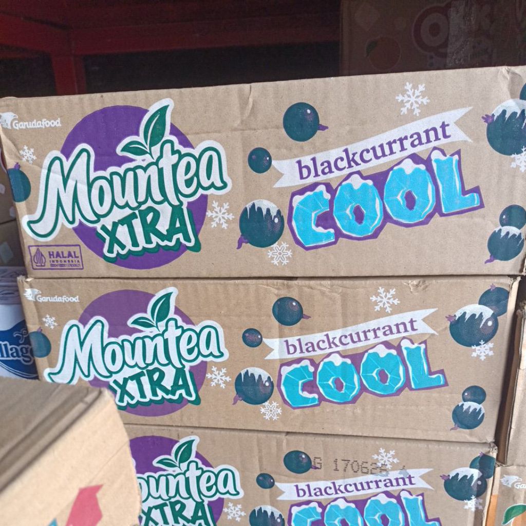 Jual mountea extra cool blackcurrant | Shopee Indonesia