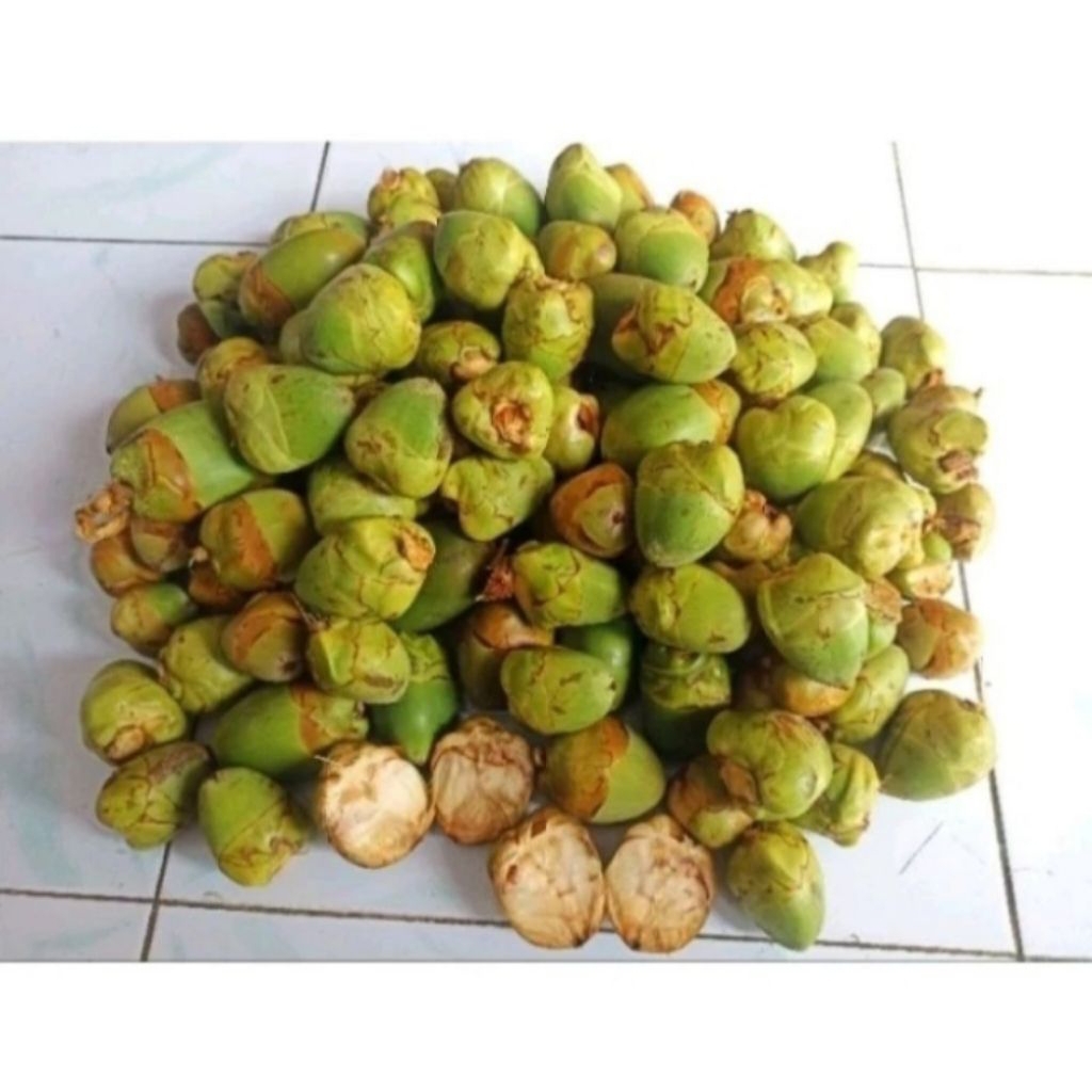 Jual Tembuluk Beluluk Beruluk Buah Kelapa Muda Cengkir Segar Satuan ...