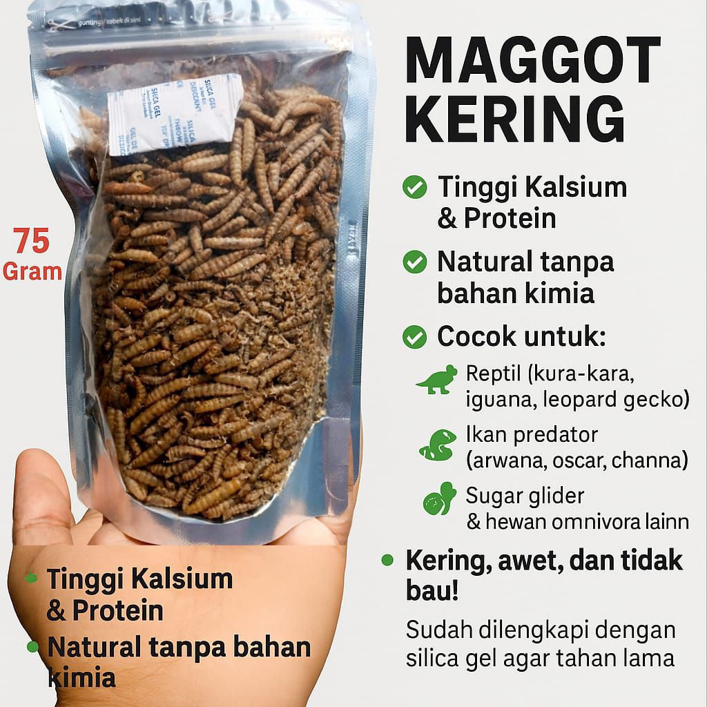 Jual Maggot kering/bsf kering/kaya kalsium/makanan burung/ikan predator ...