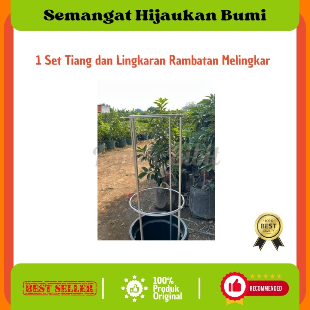 Jual 1 Set Tiang dan Lingkaran Rambatan Anggur Melingkar Tinggi 120 cm ...
