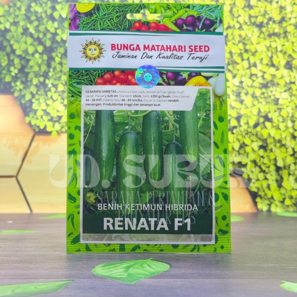 Jual BENIH KETIMUN HIBRIDA RENATA F1 - JAMINAN DAN KUALITAS TERUJI ...