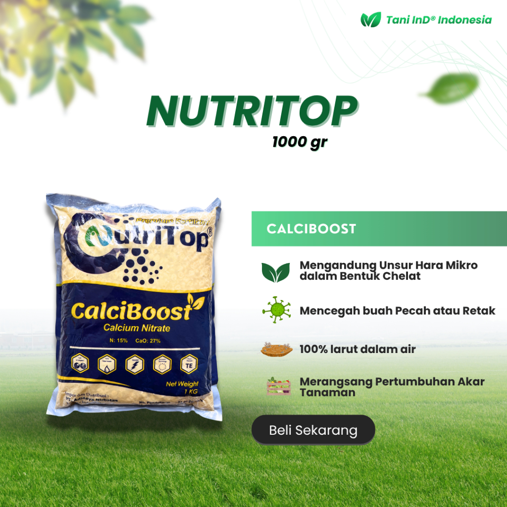 Jual Nutritop Calciboost Calsium Nitrae 1000 gr Memperbaiki kualitas ...