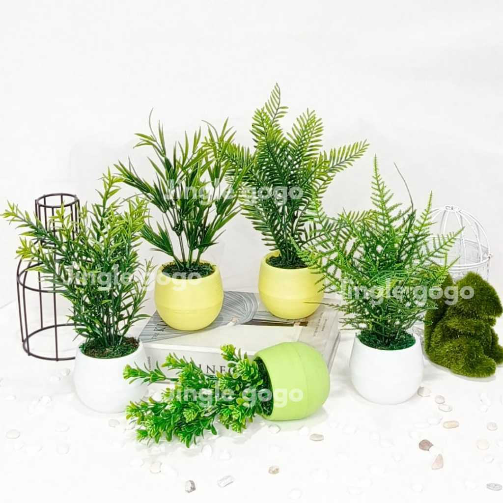Jual Pot Mini Pakis Artificial Tanaman Hias Daun Cemara Pajangan Meja ...