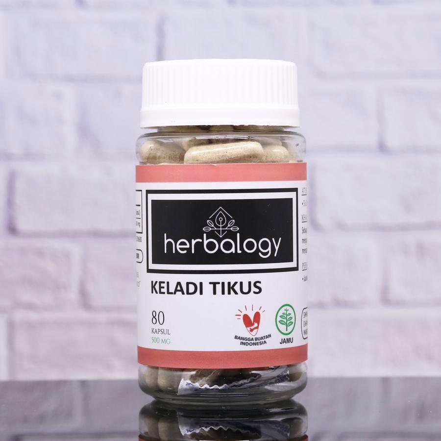 HERBALOGY Keladi Tikus - 80 Kapsul (Kanker, Tumor, Kelenjar, FAM, PCOS, Kista) obat herbal, Jamu