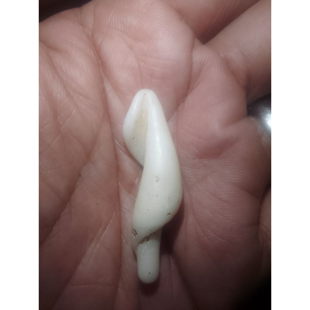 Jual batu bertuah mustikoning kmbng mlati original | Shopee Indonesia
