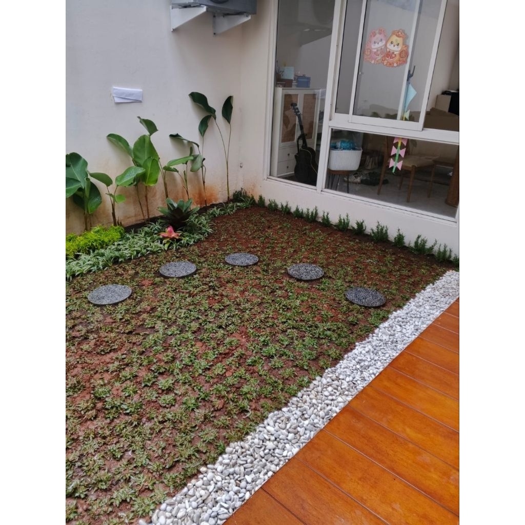 Jual pembuatan taman rumput gaja mini dan berbagai macam jenis tanaman ...