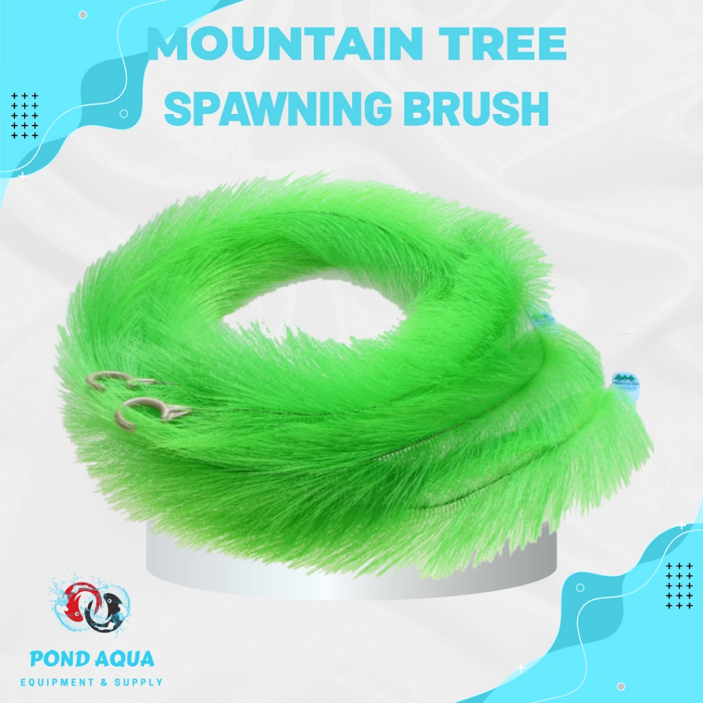 Jual Koi Spawning Brushes Rope Brush Breeding Kolam Pijah Ikan Koi ...