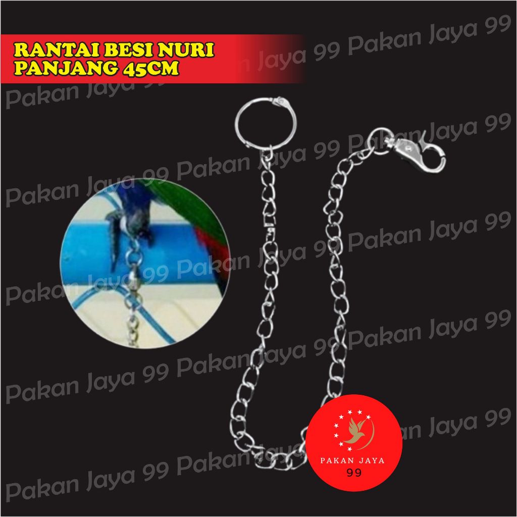 Jual READY RANTAI UJUNG BESI UNTUK KAKI BURUNG NURI BEO BETET HANTU DLL ...