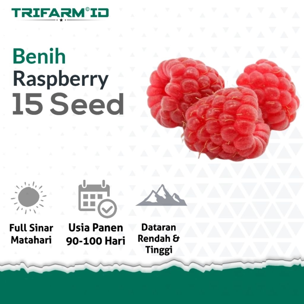 Jual Benih Buah Raspberry 15 Biji Kemasan Ziplock | Shopee Indonesia