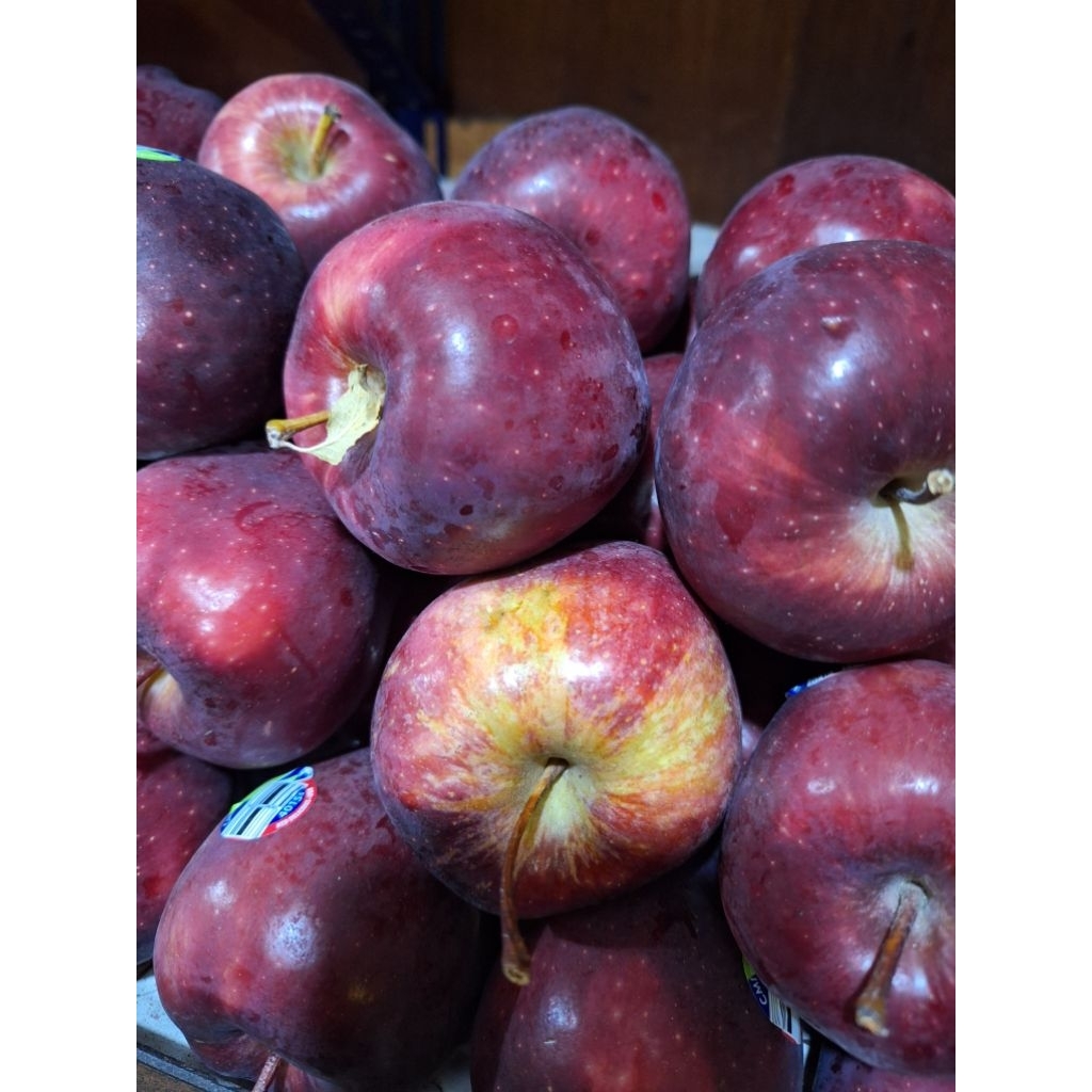 Jual apel merah segar 1kg | Shopee Indonesia