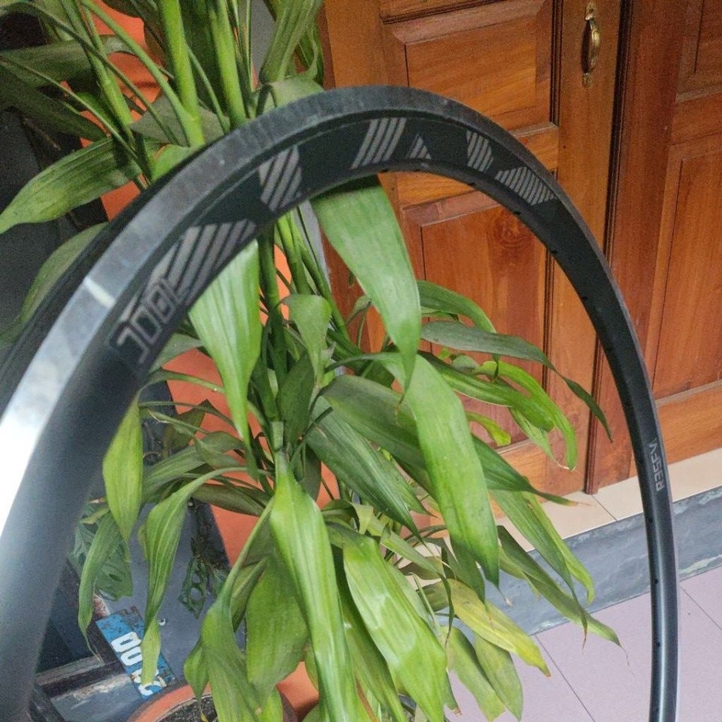 Jual oxo rims 700c R35FV double wall 32h rims brake velg alloy sepeda ...
