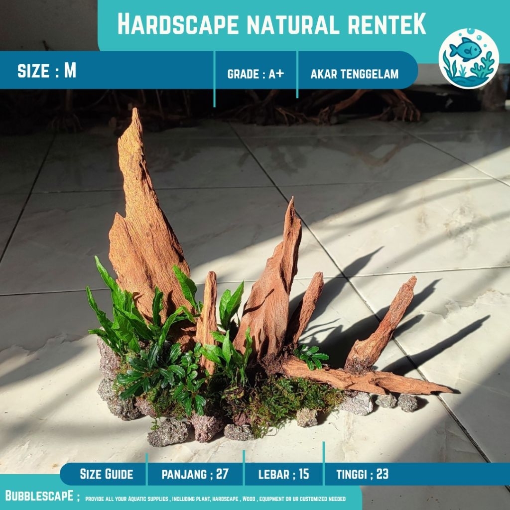 Jual HARDSCAPE NATURAL RENTEK TENGGELAM SIZE M (Medium) RASAMALA ...