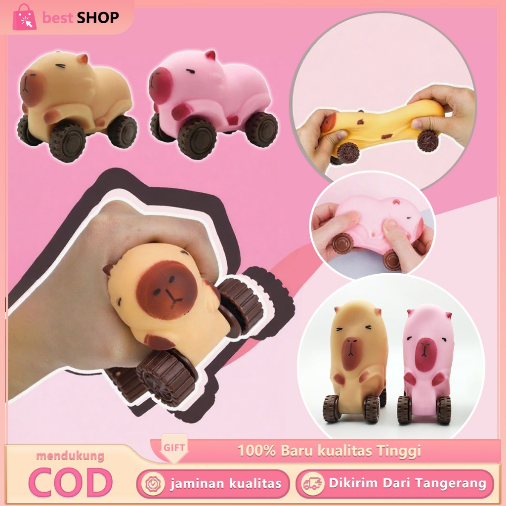 Jual Mainan Capybara Mobil Capybara Squishy Bisa Berubah Bentuk Ditarik ...