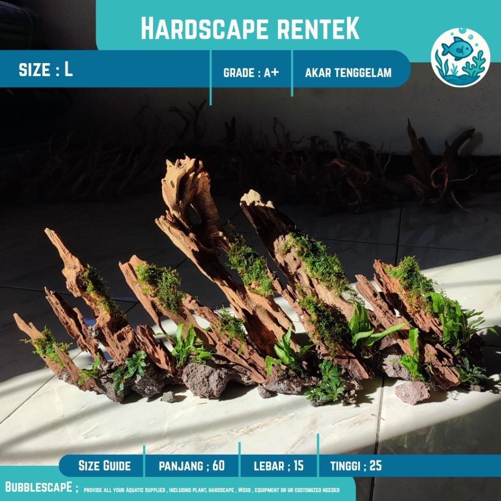 Jual HARDSCAPE AKAR TENGGELAM SIZE L (Besar) RENTEK |Ornamen Hiasan ...