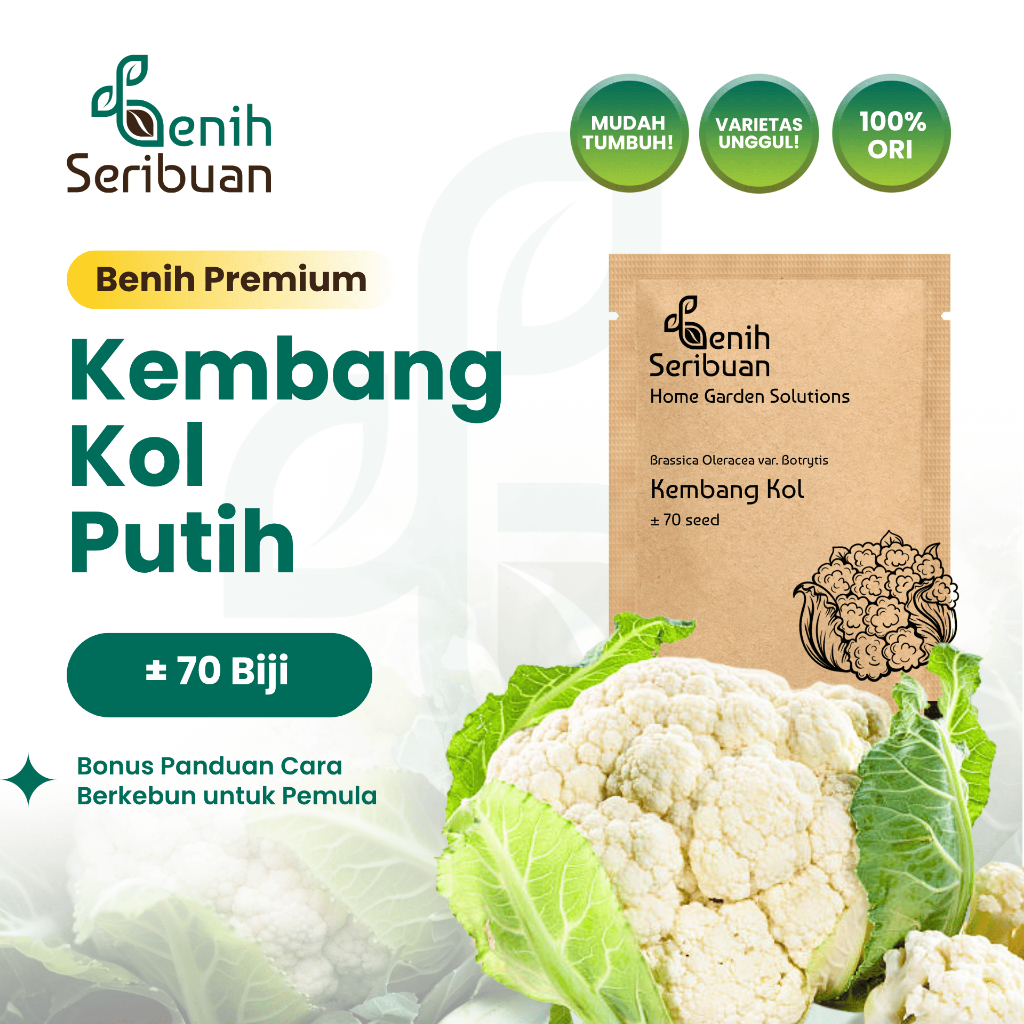 Benih Seribuan - Benih Sayuran Kembang Kol F1 Hibrida