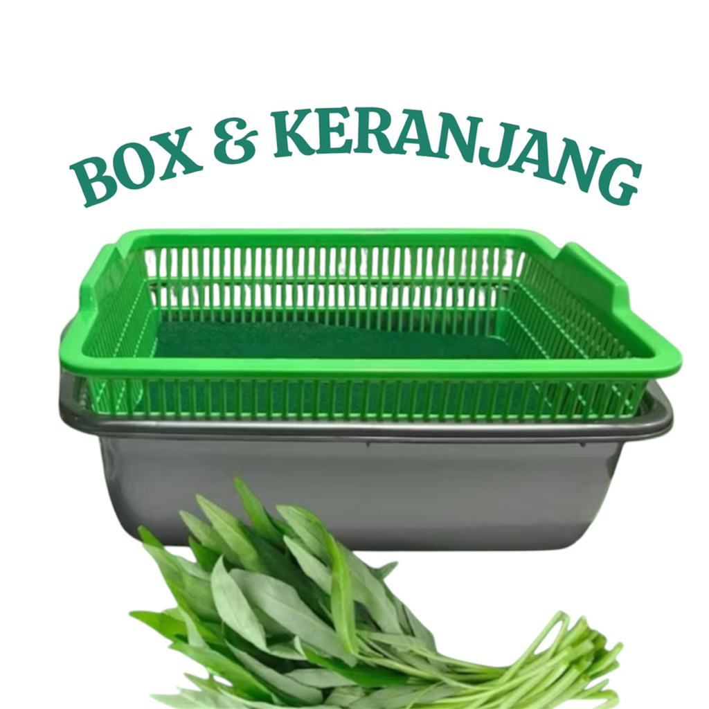 Jual Box & Keranjang Tanam Hidroponik 32x24x10cm – Media Tanam Sayuran ...