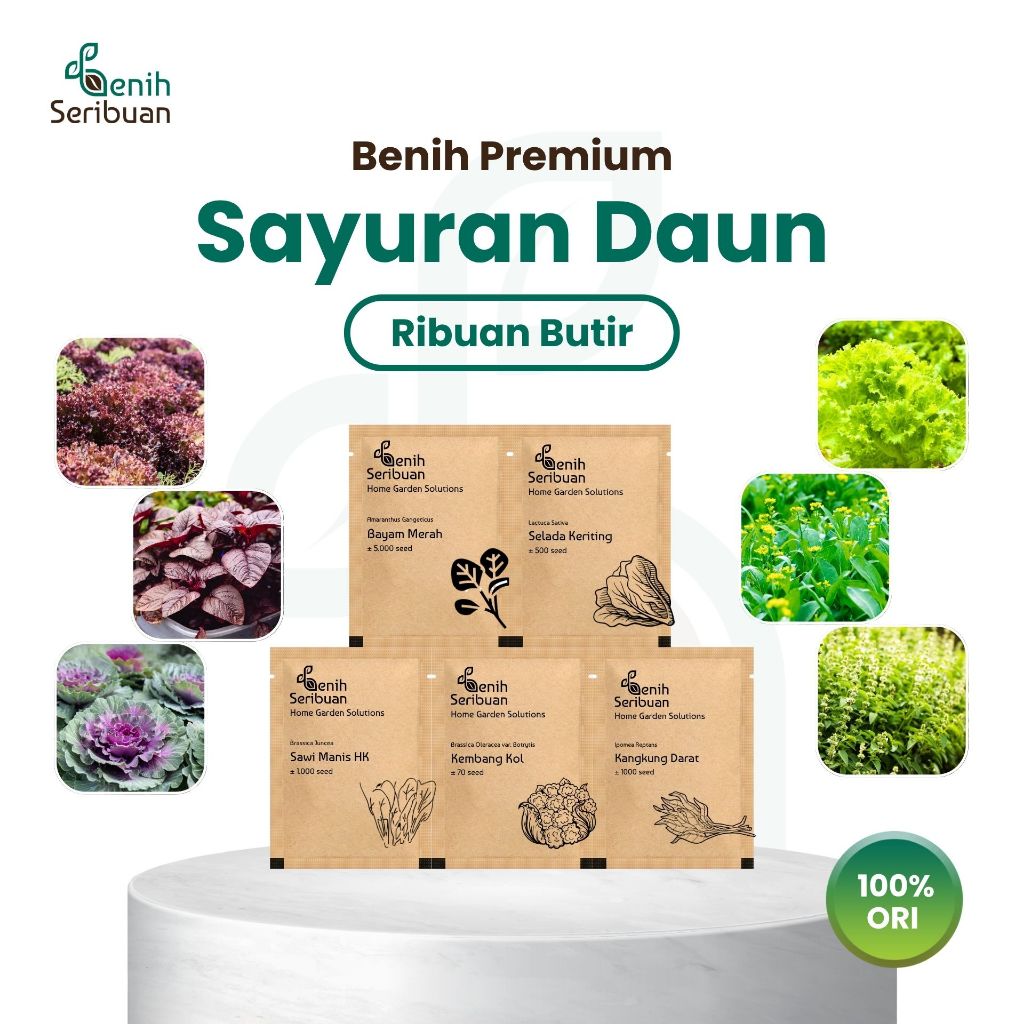 BENIH SERIBUAN - Bibit Sayuran Daun Tanaman Sayur All Varian