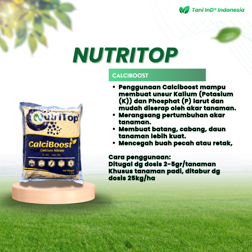 Jual Nutritop Calciboost Calsium Nitrae 1000 gr Memperbaiki kualitas ...