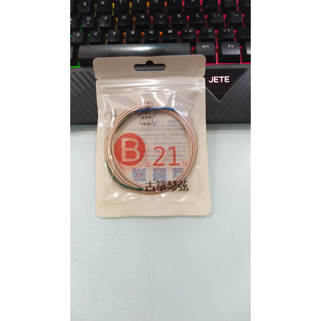 Jual Senar Kecapi Guzheng Dunhuang Tipe B | Shopee Indonesia