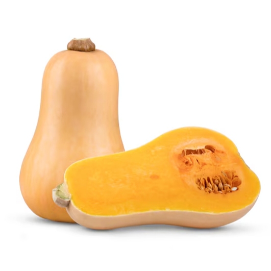 Jual Butternut Jeklin / Butternut Jacqueline / Labu Madu / Labu /Labu ...