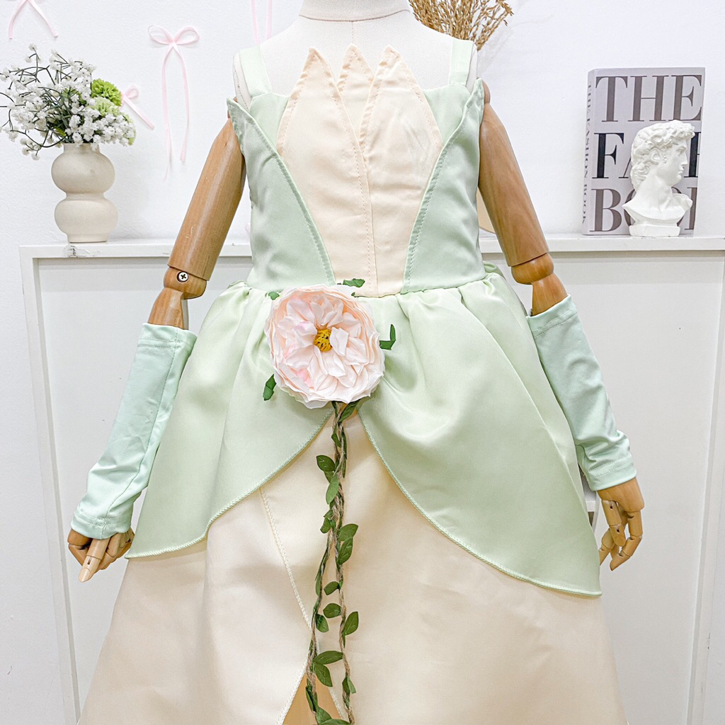 Jual Frog Prince Princess Tiana/ Dress Cosplay Kartun Princess Tiana |  Shopee Indonesia