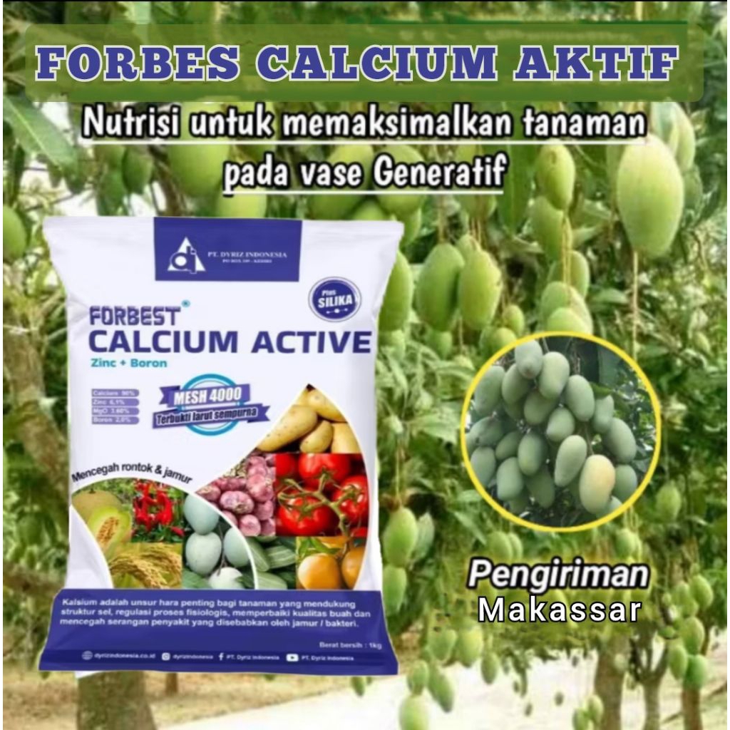 Jual PUPUK BUAH MANGGA CALCIUM AKTIF FORBES MENGURANGI KERONTOKAN BUNGA ...