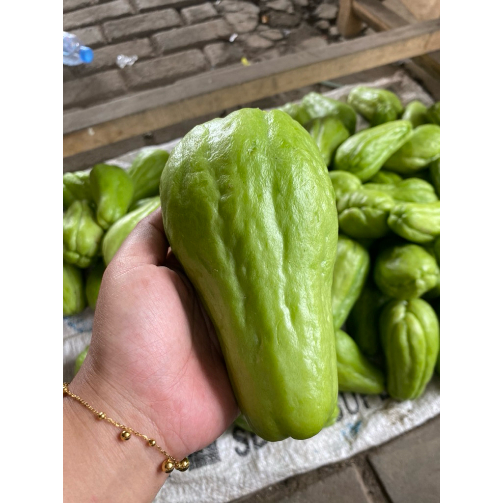 Jual LABU SIAM LOKAL FRESS&SEGAR 1kg isi 3,4,5 | Shopee Indonesia