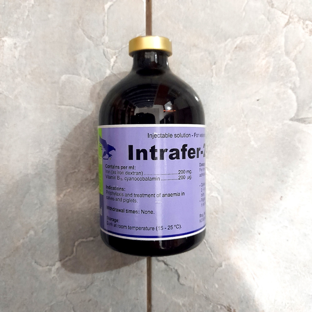 Jual INTRAFER 200 B12 100 ML BY TMC - FE + B12 Anemia, Meningkatkan ...