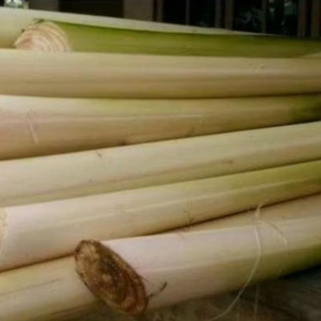 Jual Gedebong Pisang / Gedebog Pisang Segar Herbal Alami 1kg | Shopee ...