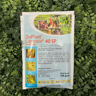 Men rus qaynonamning mushukida keldim