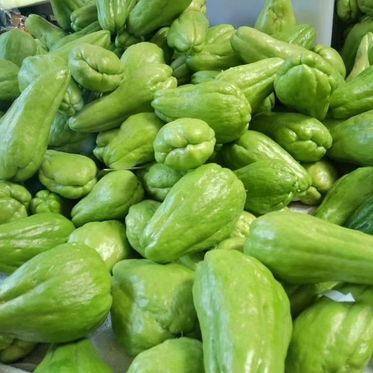 Jual Labu Siam Terlengkap & Harga Terbaru Juli 2026 | Shopee Indonesia
